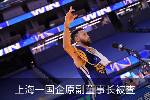 上海一国企原副董事长被查