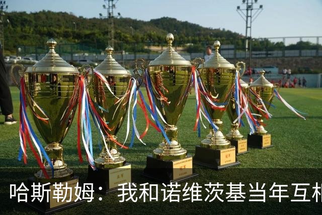 哈斯勒姆：我和诺维茨基当年互相讨厌 现在却成了很好的朋友