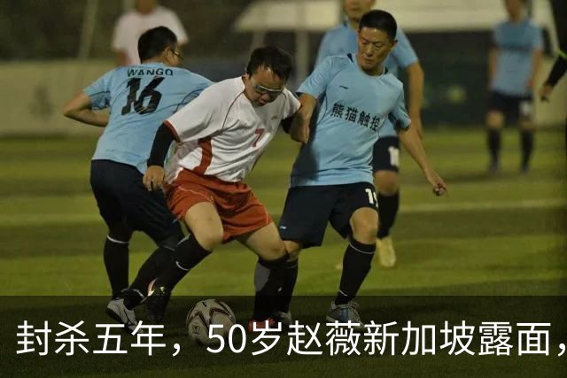 封杀五年，50岁赵薇新加坡露面，自曝谋生手段，面相彻底变了！