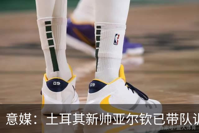 意媒：土耳其新帅亚尔钦已带队训练，将和居莱尔、恰20谈谈
