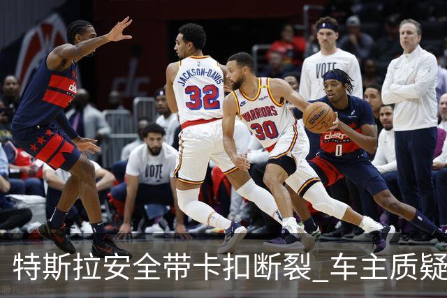 特斯拉安全带卡扣断裂 车主质疑质量缺陷