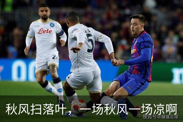 秋风扫落叶，一场秋风一场凉啊