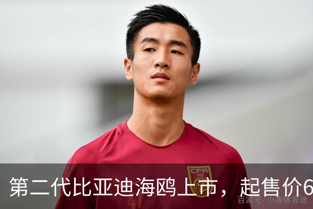 第二代比亚迪海鸥上市，起售价6.29万起！正面硬刚吉利星愿？