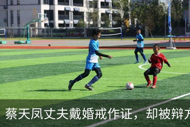 蔡天凤丈夫戴婚戒作证，却被辩方律师质疑，他和亡妻前夫是恋人？